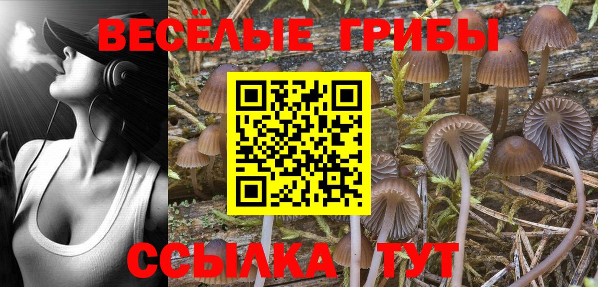 Псилоцибиновые грибы Cubensis  Вход с VPN  Тольятти 