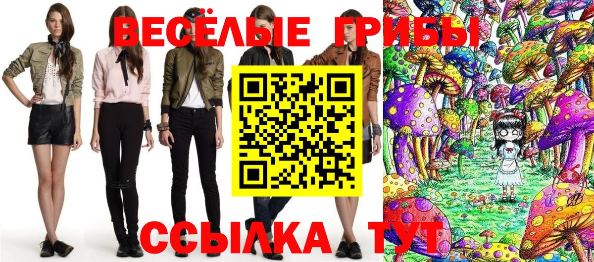 Псилоцибиновые грибы ЛСД Тольятти